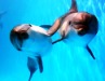 delfinarij